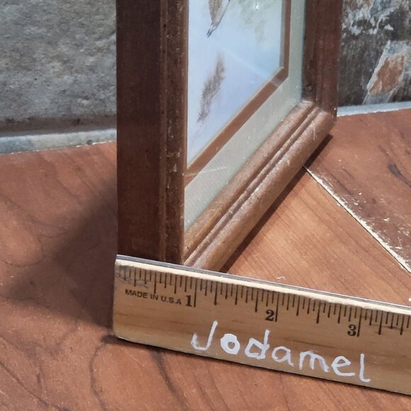 Framed Wildlife Print Duck Geese Water Artist Signed Anni Moller 1968 Wall Art - Picture 7 of 12